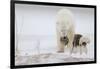 Play With Me-Alessandro Catta-Framed Photographic Print