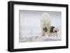 Play With Me-Alessandro Catta-Framed Photographic Print