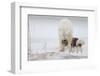 Play With Me-Alessandro Catta-Framed Photographic Print