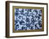 PLAY WITH Overlay, 2020 (Acrylic on Hardboard)-Peter McClure-Framed Giclee Print