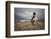 Play-Bragi Ingibergsson --Framed Photographic Print