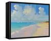 Playa 8-Alex Hook Krioutchkov-Framed Stretched Canvas