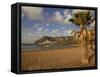 Playa de Las Teresitas in Early Morning Light, Tenerife, Canary Islands, Spain, Europe-Ian Egner-Framed Stretched Canvas