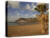 Playa de Las Teresitas in Early Morning Light, Tenerife, Canary Islands, Spain, Europe-Ian Egner-Stretched Canvas