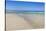 Playa De Sotavento, Risco Del Paso, Fuerteventura, Canary Islands, Spain, Atlantic, Europe-Markus Lange-Stretched Canvas