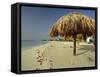 Playa Del Carmen, Caribbean Peninsula, Mexico, Central America-Robert Francis-Framed Stretched Canvas