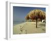 Playa Del Carmen, Caribbean Peninsula, Mexico, Central America-Robert Francis-Framed Photographic Print