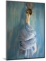 Playa Del Carmen, Mexico; a Hammock Hanging on a Wall in a Hotel-Dan Bannister-Mounted Photographic Print
