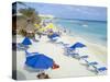 Playa Del Carmen, Yucatan, Mexico, North America-Adina Tovy-Stretched Canvas