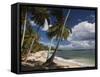 Playa El Frances Beach, El Frances, Samana Peninsula, Dominican Republic-Walter Bibikow-Framed Stretched Canvas