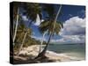 Playa El Frances Beach, El Frances, Samana Peninsula, Dominican Republic-Walter Bibikow-Stretched Canvas