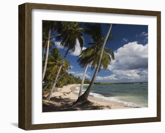 Playa El Frances Beach, El Frances, Samana Peninsula, Dominican Republic-Walter Bibikow-Framed Photographic Print