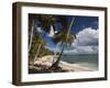 Playa El Frances Beach, El Frances, Samana Peninsula, Dominican Republic-Walter Bibikow-Framed Photographic Print
