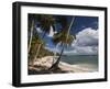 Playa El Frances Beach, El Frances, Samana Peninsula, Dominican Republic-Walter Bibikow-Framed Photographic Print