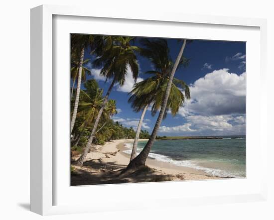 Playa El Frances Beach, El Frances, Samana Peninsula, Dominican Republic-Walter Bibikow-Framed Photographic Print