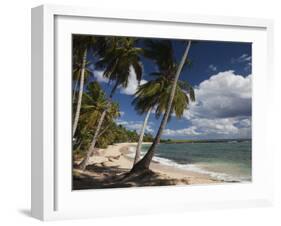 Playa El Frances Beach, El Frances, Samana Peninsula, Dominican Republic-Walter Bibikow-Framed Photographic Print