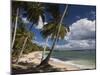 Playa El Frances Beach, El Frances, Samana Peninsula, Dominican Republic-Walter Bibikow-Mounted Photographic Print