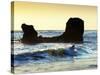 Playa El Tunco, El Salvador, Pacific Ocean Beach, Popular With Surfers, Great Waves-John Coletti-Stretched Canvas