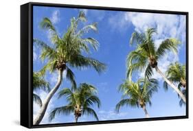 Playa Flamingo Beach.-Stefano Amantini-Framed Stretched Canvas