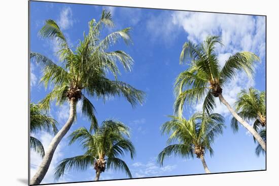 Playa Flamingo Beach.-Stefano Amantini-Mounted Photographic Print