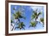 Playa Flamingo Beach.-Stefano Amantini-Framed Photographic Print