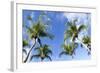 Playa Flamingo Beach.-Stefano Amantini-Framed Photographic Print