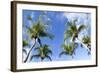 Playa Flamingo Beach.-Stefano Amantini-Framed Photographic Print