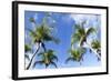 Playa Flamingo Beach.-Stefano Amantini-Framed Photographic Print