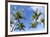 Playa Flamingo Beach.-Stefano Amantini-Framed Photographic Print