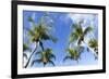 Playa Flamingo Beach.-Stefano Amantini-Framed Photographic Print