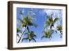 Playa Flamingo Beach.-Stefano Amantini-Framed Photographic Print