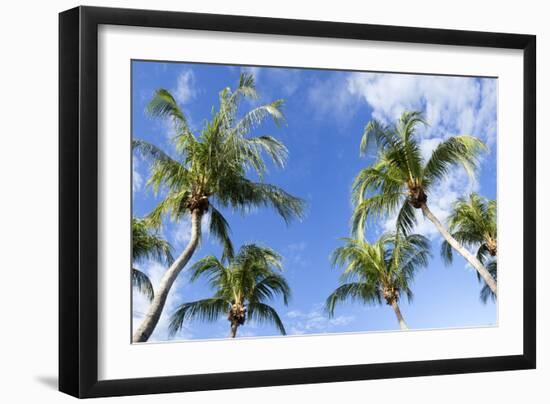 Playa Flamingo Beach.-Stefano Amantini-Framed Photographic Print