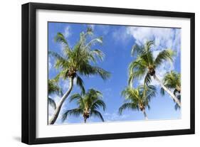 Playa Flamingo Beach.-Stefano Amantini-Framed Photographic Print