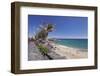 Playa Grande Beach, Puerto Del Carmen, Lanzarote, Canary Islands, Spain, Atlantic, Europe-Markus Lange-Framed Photographic Print