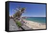 Playa Grande Beach, Puerto Del Carmen, Lanzarote, Canary Islands, Spain, Atlantic, Europe-Markus Lange-Framed Stretched Canvas
