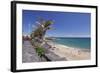 Playa Grande Beach, Puerto Del Carmen, Lanzarote, Canary Islands, Spain, Atlantic, Europe-Markus Lange-Framed Photographic Print