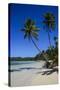 Playa Grande, Las Galeras, Semana Peninsula-Michael Runkel-Stretched Canvas