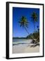 Playa Grande, Las Galeras, Semana Peninsula-Michael Runkel-Framed Photographic Print