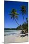 Playa Grande, Las Galeras, Semana Peninsula-Michael Runkel-Mounted Photographic Print