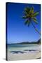 Playa Grande, Las Galeras, Semana Peninsula-Michael Runkel-Stretched Canvas