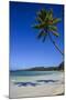 Playa Grande, Las Galeras, Semana Peninsula-Michael Runkel-Mounted Photographic Print