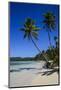 Playa Grande, Las Galeras, Semana Peninsula-Michael Runkel-Mounted Photographic Print