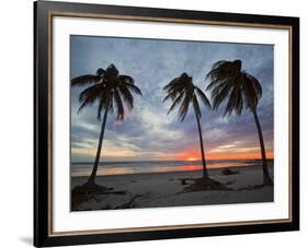 Playa Guiones Beach, Nosara, Nicoya Peninsula, Guanacaste Province, Costa Rica-Robert Francis-Framed Photographic Print