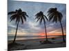Playa Guiones Beach, Nosara, Nicoya Peninsula, Guanacaste Province, Costa Rica-Robert Francis-Mounted Photographic Print