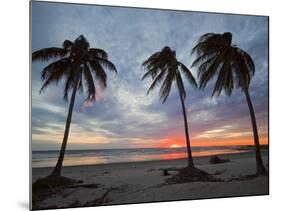 Playa Guiones Beach, Nosara, Nicoya Peninsula, Guanacaste Province, Costa Rica-Robert Francis-Mounted Photographic Print