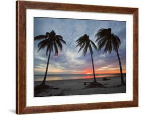 Playa Guiones Beach, Nosara, Nicoya Peninsula, Guanacaste Province, Costa Rica-Robert Francis-Framed Photographic Print