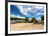 Playa in Manuel Antonio National Park, Costa Rica Wildlife.-Artush-Framed Photographic Print