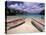 Playa Lagun, Curacao, Caribbean-Michele Westmorland-Stretched Canvas