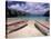 Playa Lagun, Curacao, Caribbean-Michele Westmorland-Stretched Canvas