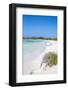 Playa Larga, Cayo Coco, Jardines Del Rey, Ciego De Avila Province, Cuba-Jane Sweeney-Framed Photographic Print